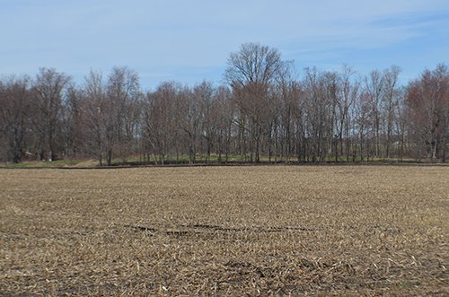 Property photo 93 - REAL ESTATE & PERSONAL PROPERTY AUCTION, 140 Acres offered in 8 Tracts or Combinations in Steuben County